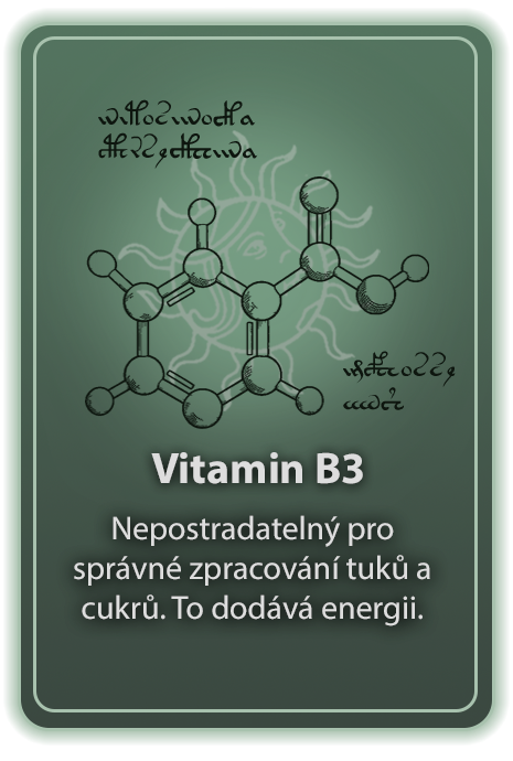 Vitamin B3 - niacin, kyselina nikotinová/nikotinamid