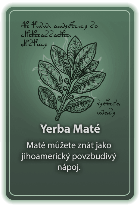Extrakt z yerba maté (20 % kofeinu)